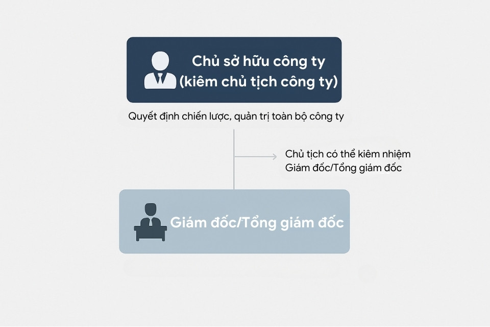 ảnh minh họa cơ cấu tổ chức công ty TNHH 1 thành viên do cá nhân làm chủ sở hữu