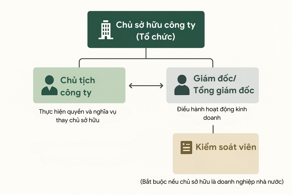 ảnh minh họa cơ cấu tổ chức công ty TNHH 1 thành viên do tổ chức làm sở hữu