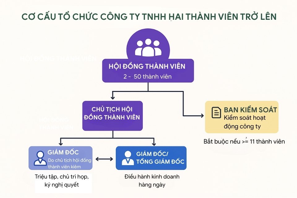 cơ cấu tổ chức công ty TNHH 2 thành viên trở lên