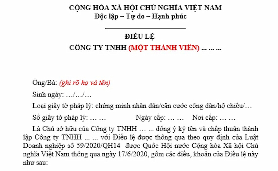 Mẫu Điều lệ Công ty TNHH 1 thành viên đối với chủ sở hữu là cá nhân
