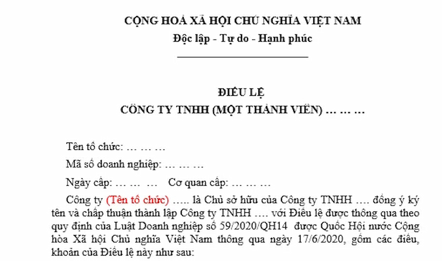 Mẫu Điều lệ Công ty TNHH 1 thành viên đối với chủ sở hữu là tổ chức