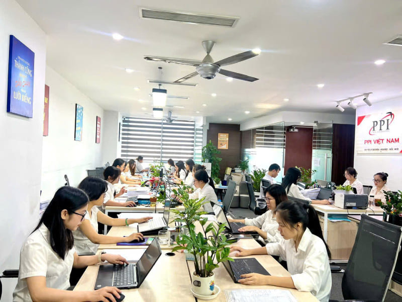 đại lý thuế PPI Việt Nam